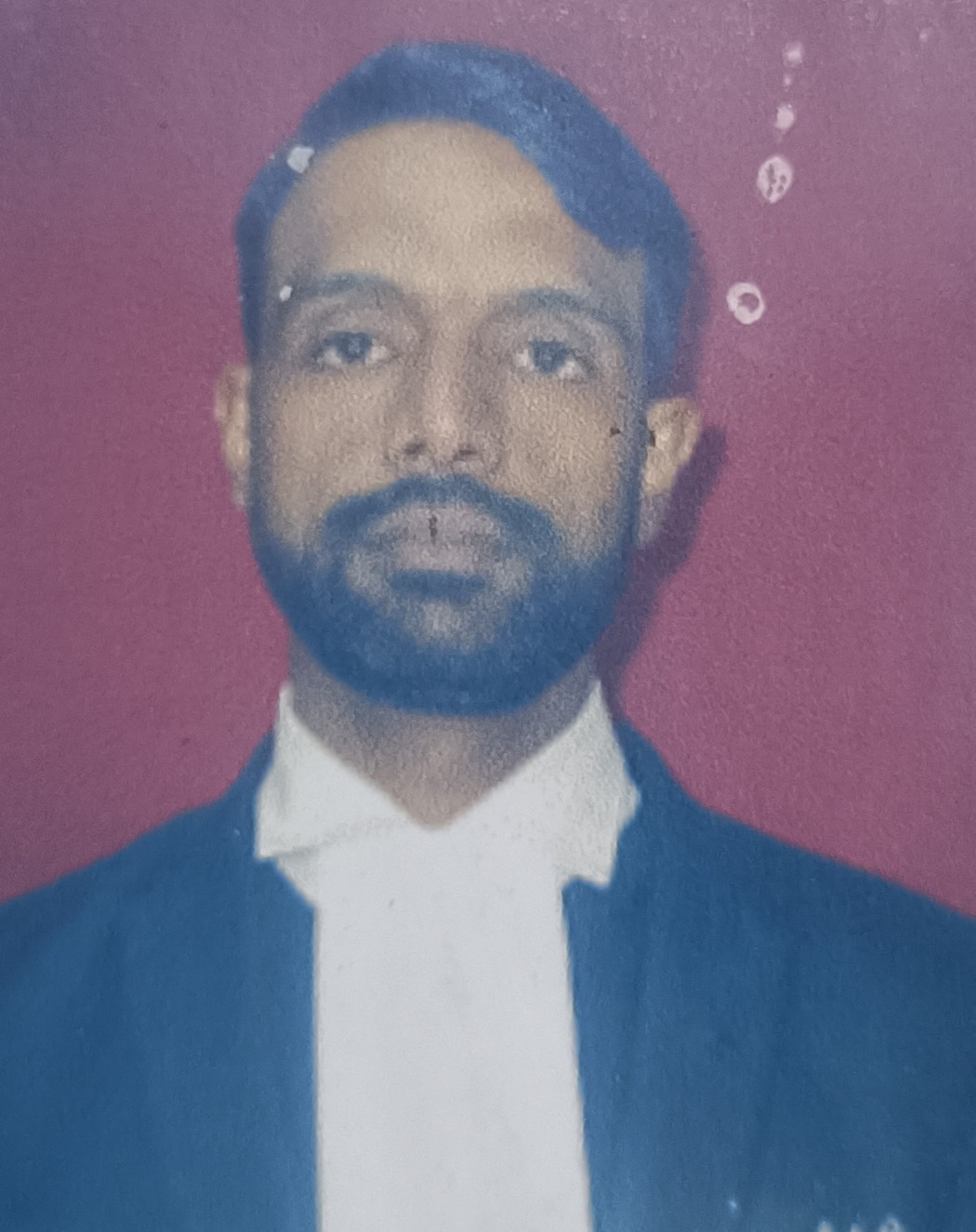 Member